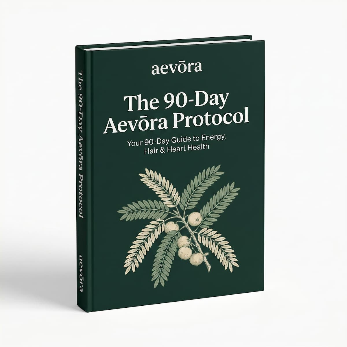 The 90-Day Aevōra Protocol